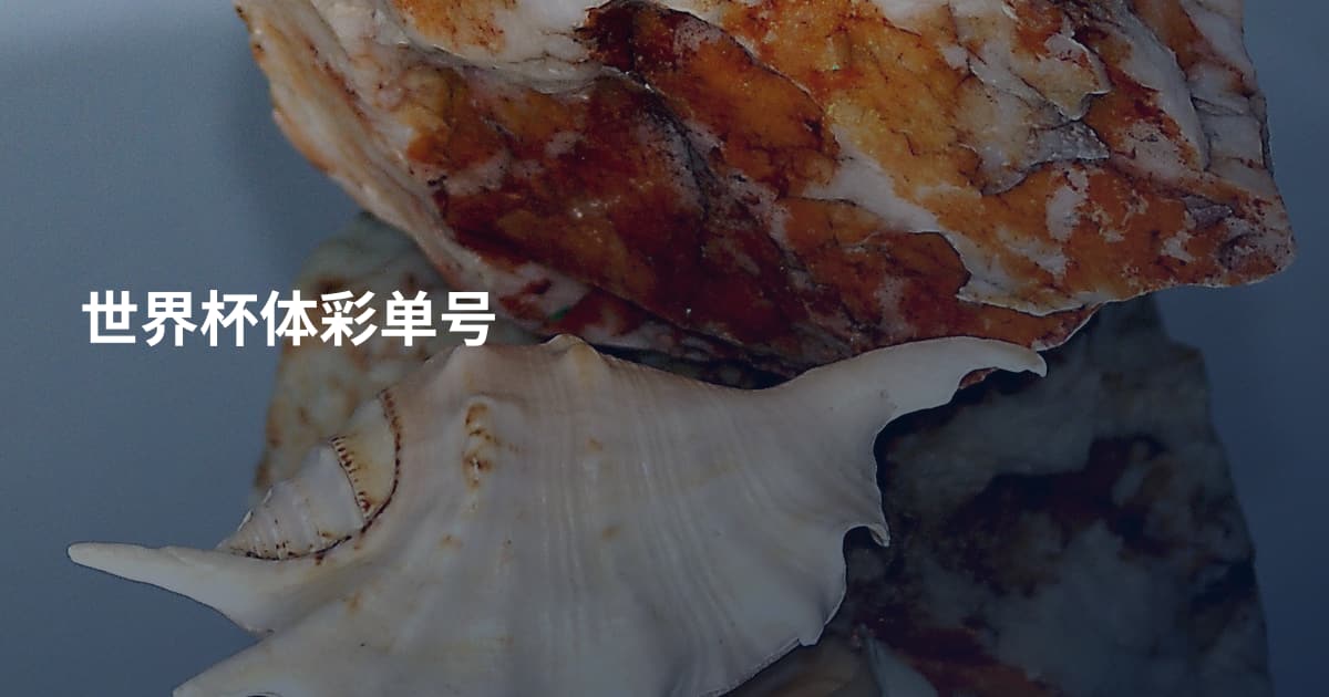 世界杯体彩单号