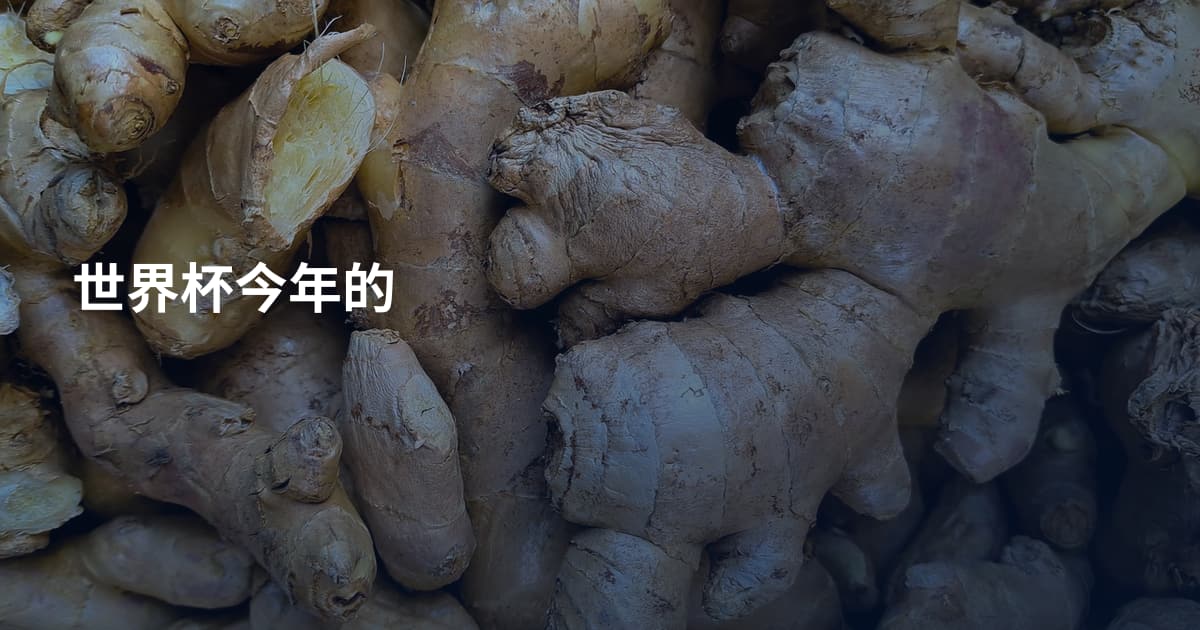 世界杯今年的