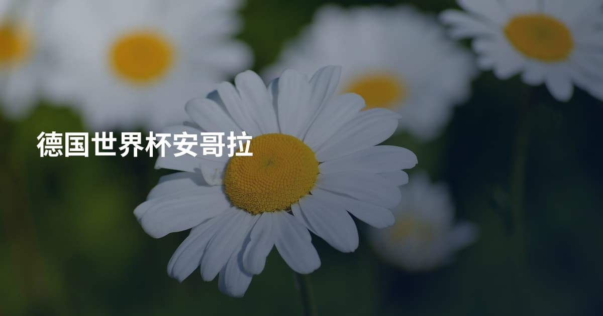 德国世界杯安哥拉