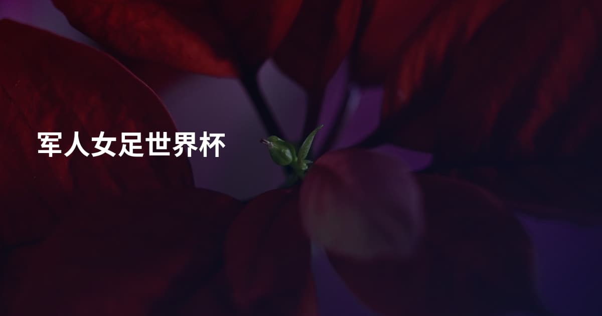 军人女足世界杯