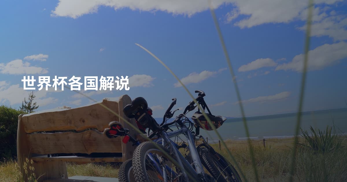 世界杯各国解说