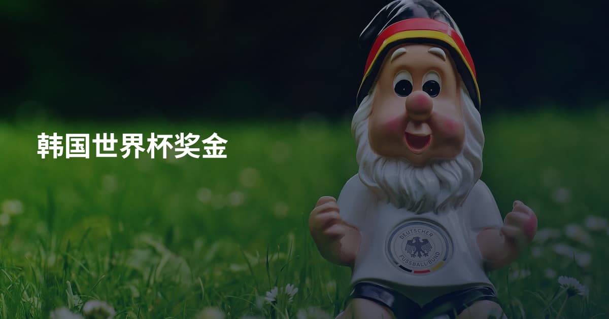 韩国世界杯奖金