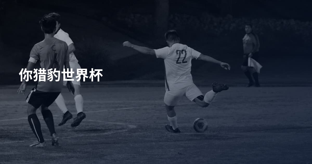 你猎豹世界杯