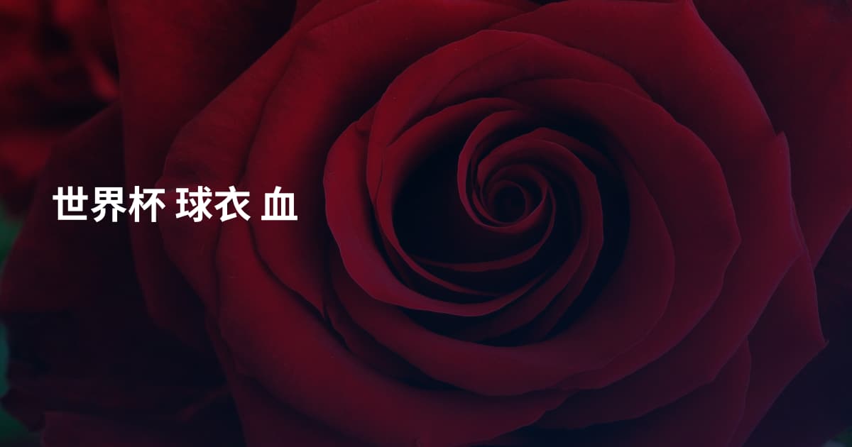 世界杯 球衣 血