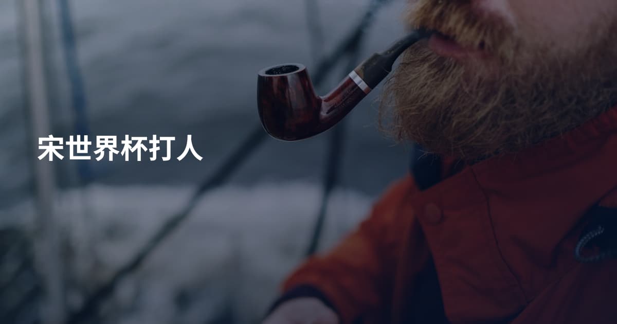 宋世界杯打人