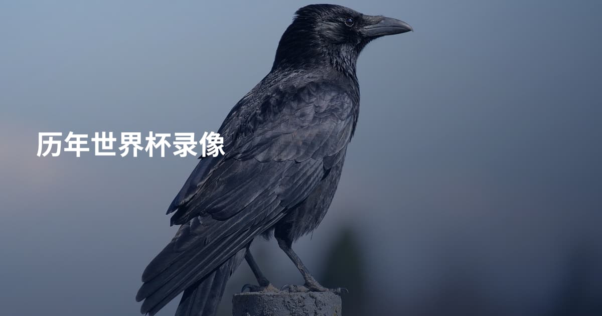 历年世界杯录像