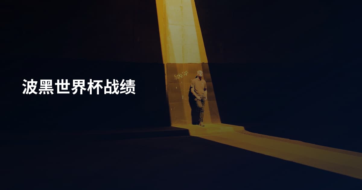 波黑世界杯战绩