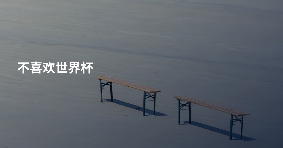 不喜欢世界杯
