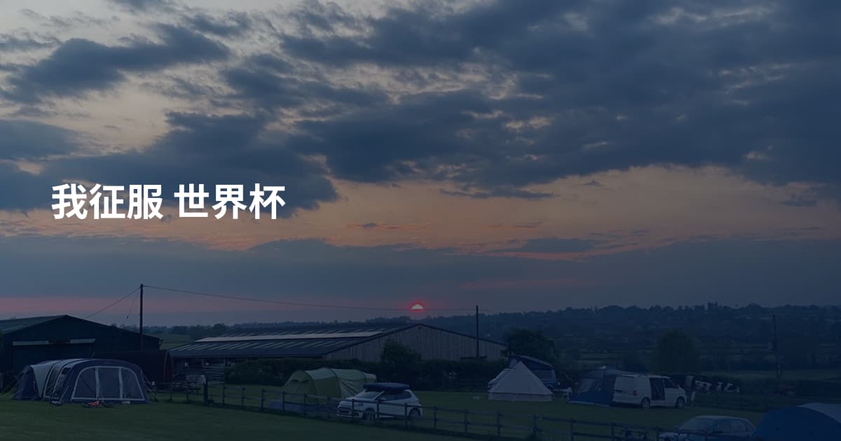我征服 世界杯