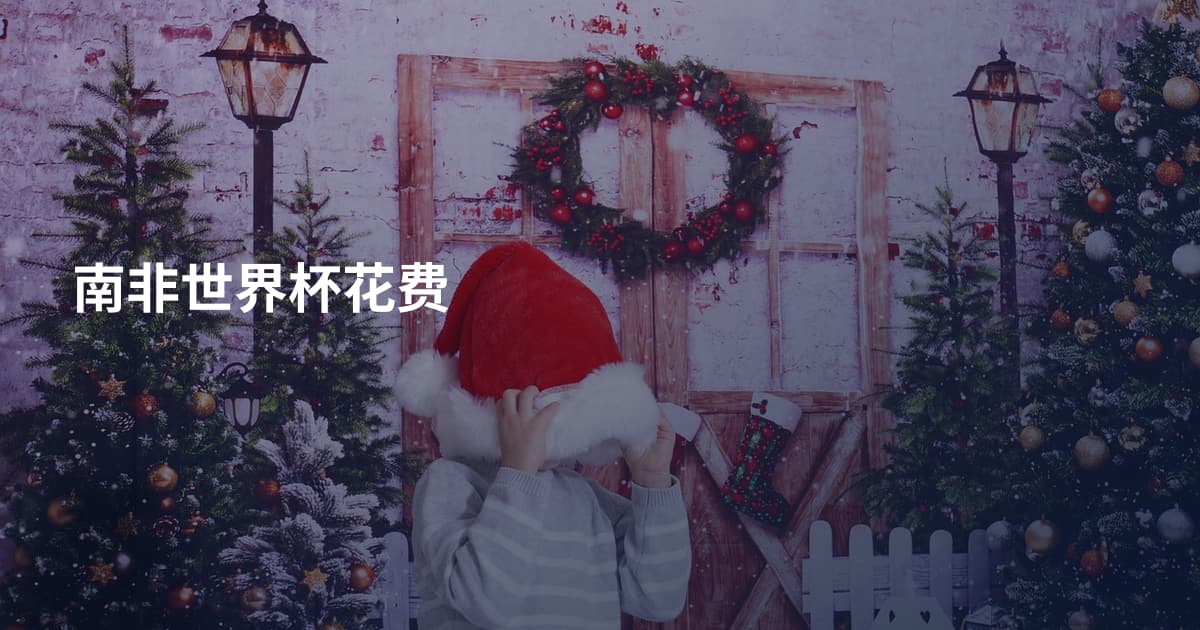 南非世界杯花费