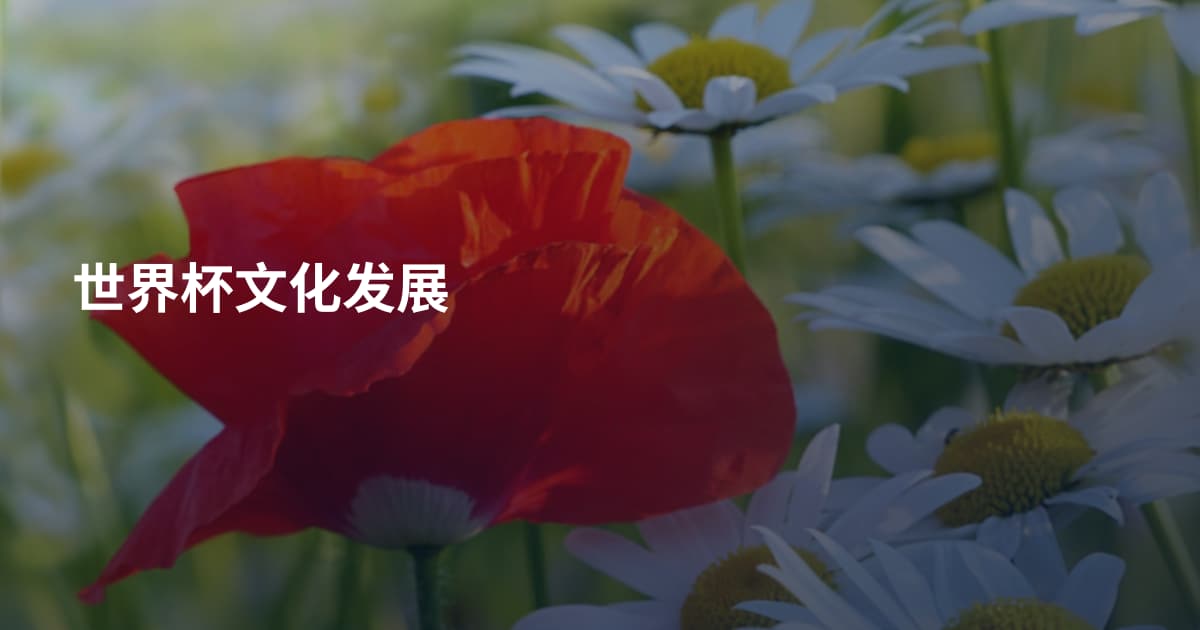 世界杯文化发展