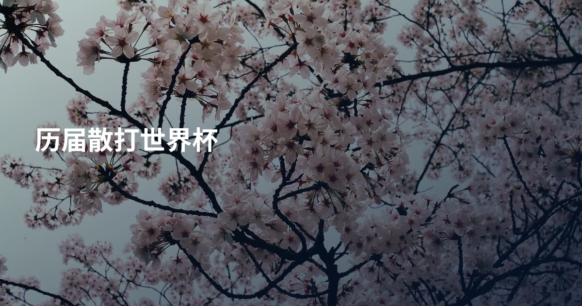 历届散打世界杯
