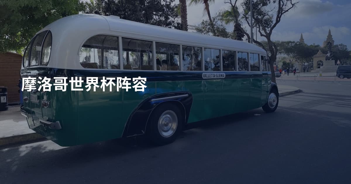 摩洛哥世界杯阵容