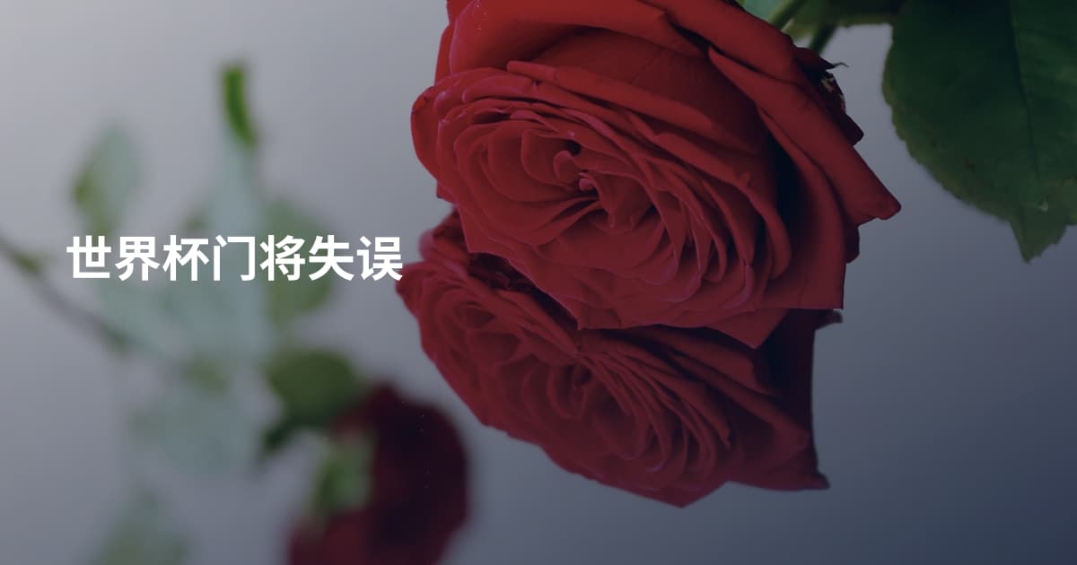 世界杯门将失误