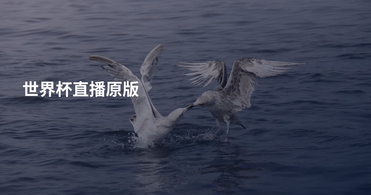 世界杯直播原版