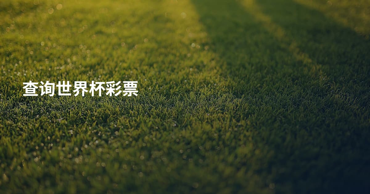 查询世界杯彩票