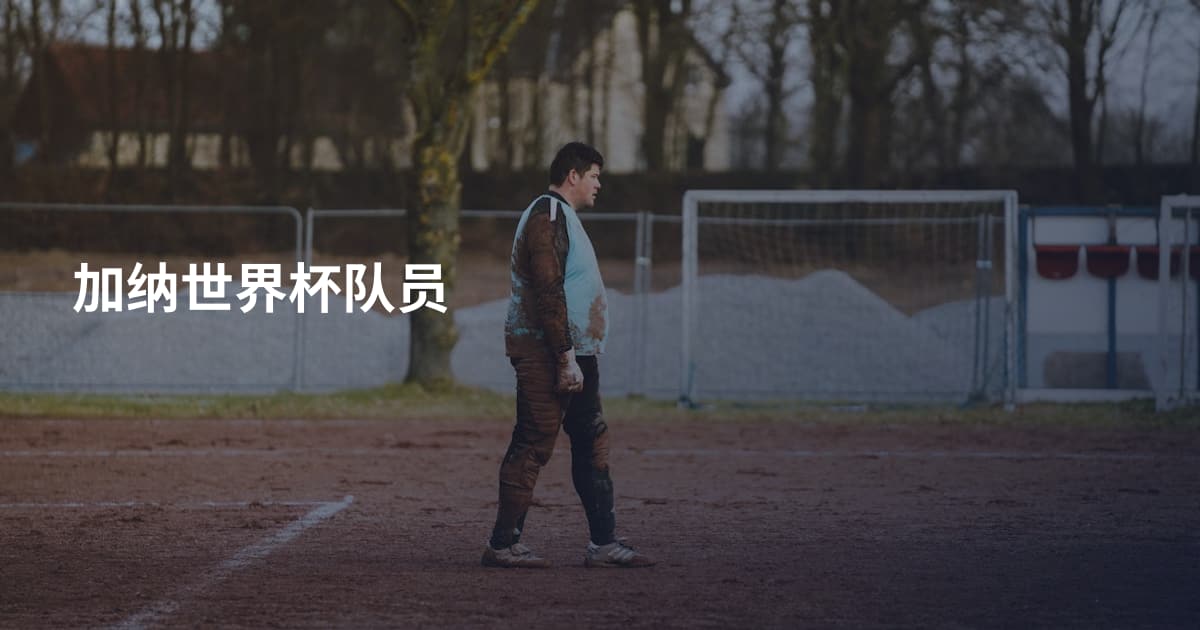 加纳世界杯队员