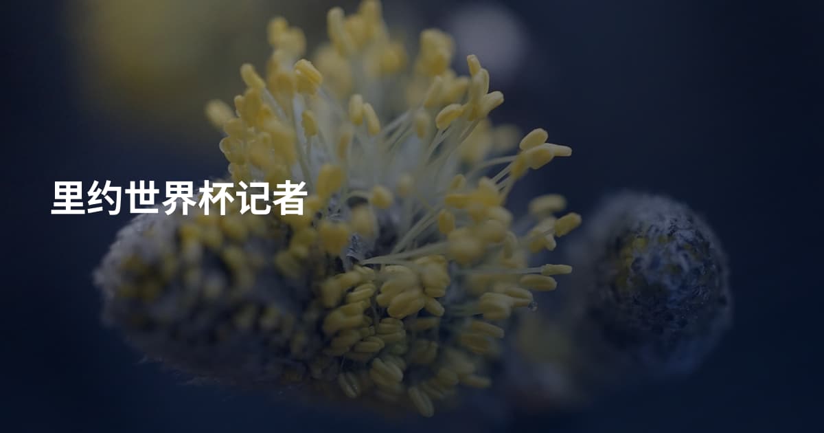 里约世界杯记者
