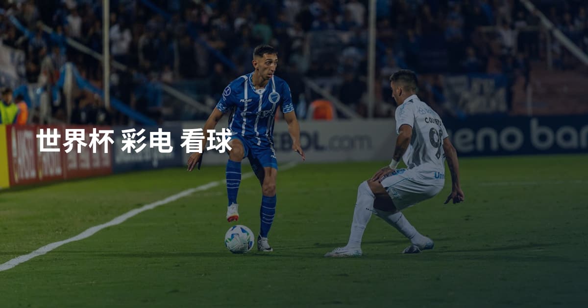世界杯 彩电 看球