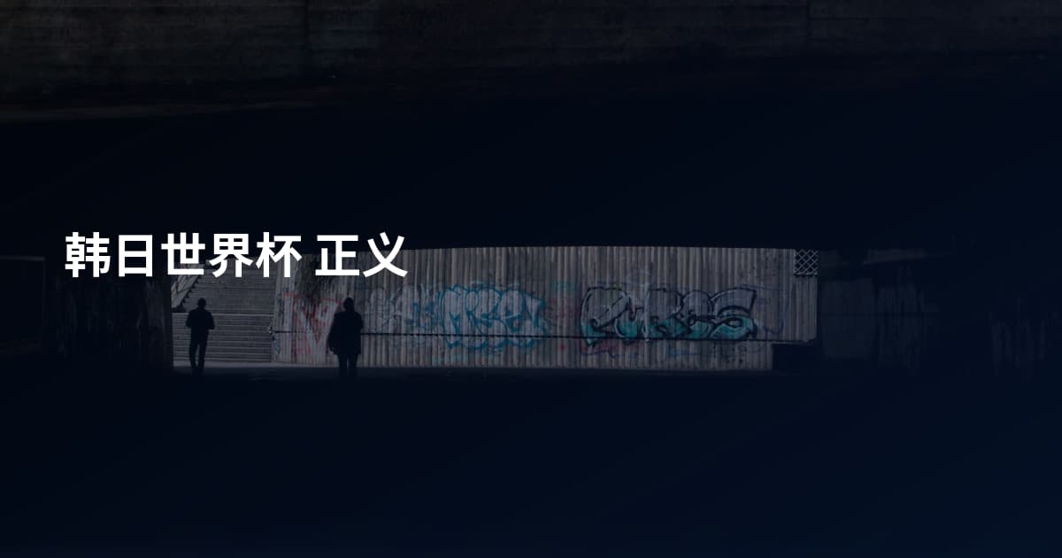 韩日世界杯 正义