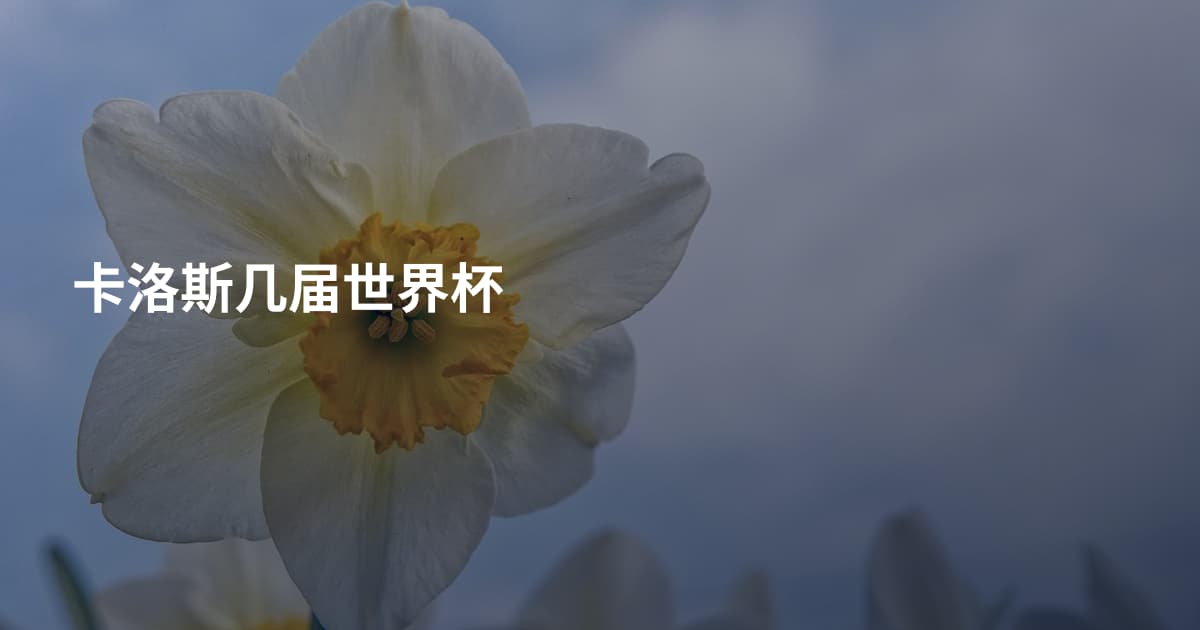 卡洛斯几届世界杯