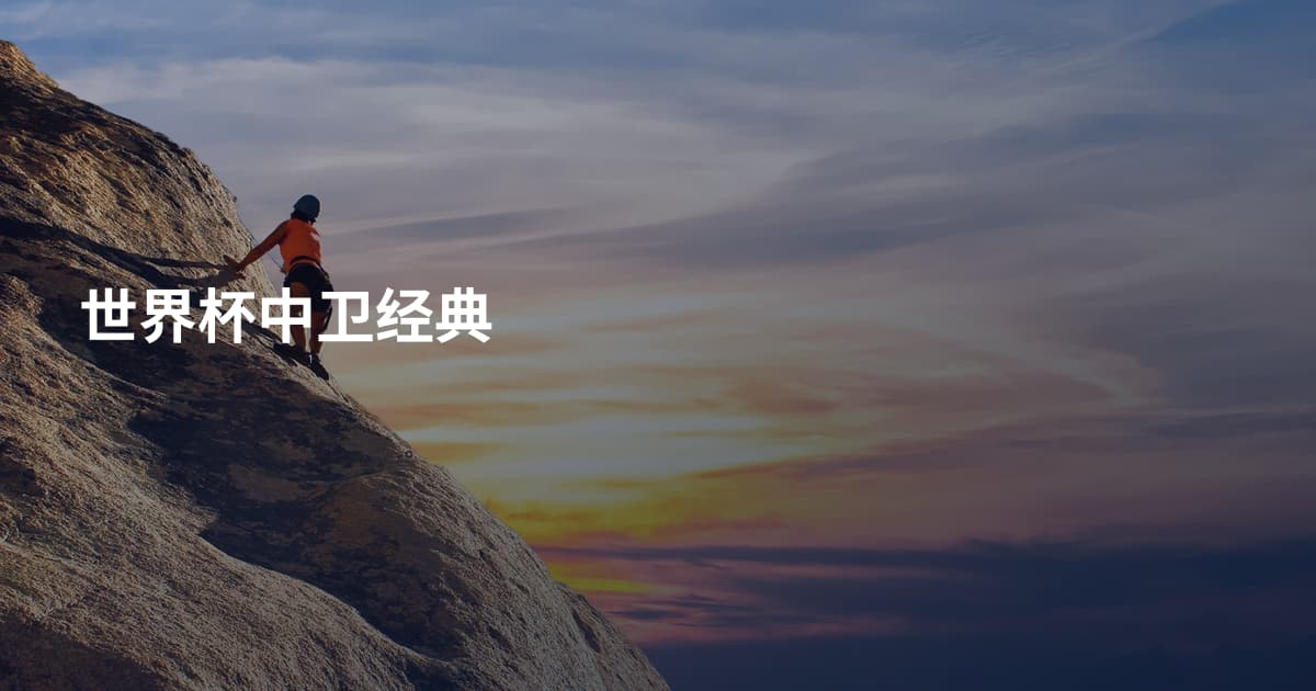 世界杯中卫经典