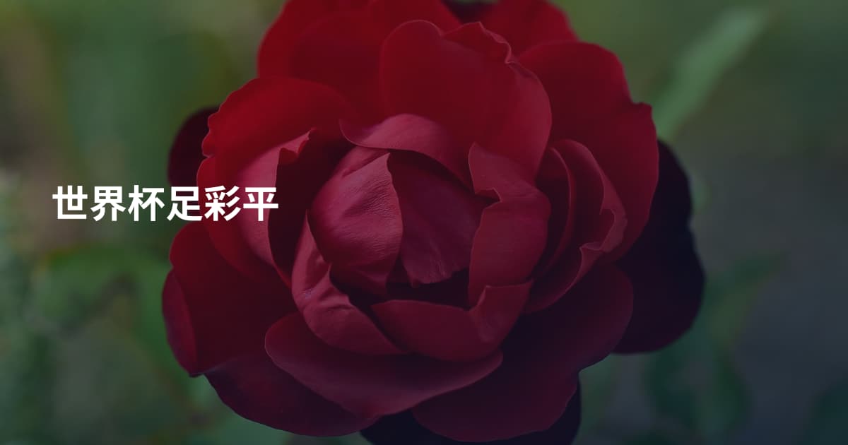 世界杯足彩平