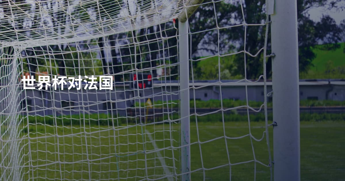 世界杯对法国