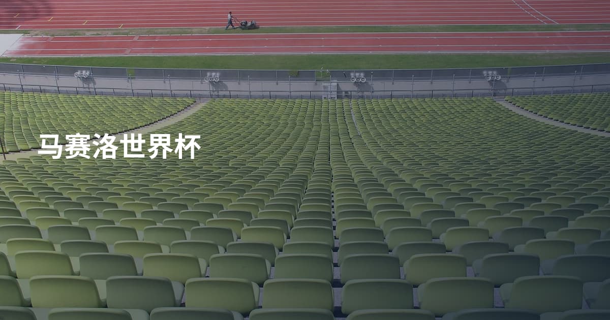 马赛洛世界杯