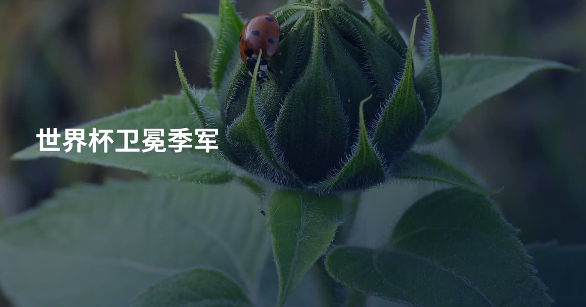 世界杯卫冕季军