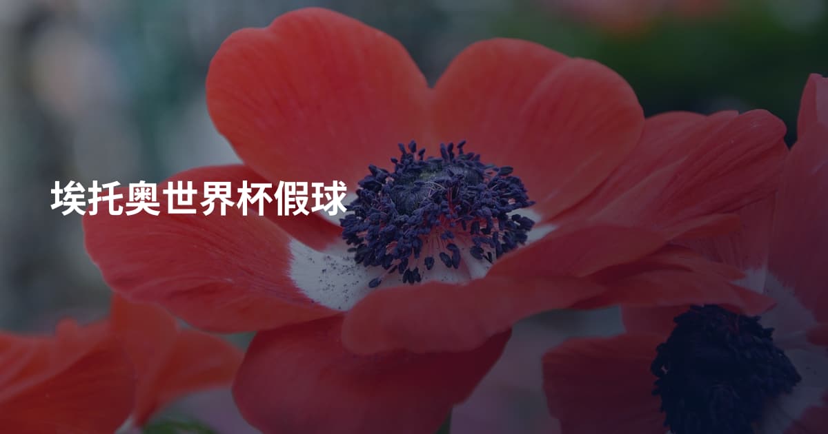 埃托奥世界杯假球