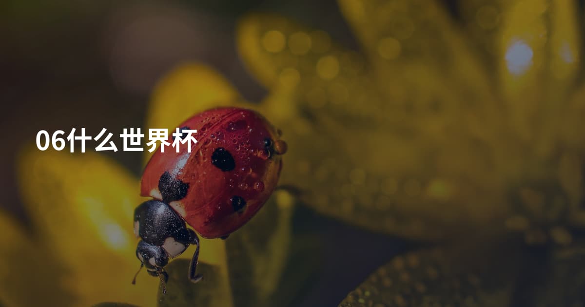 06什么世界杯