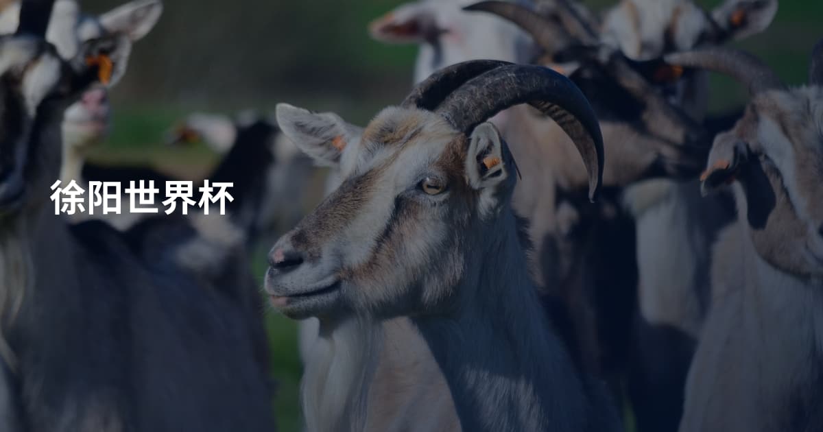 徐阳世界杯
