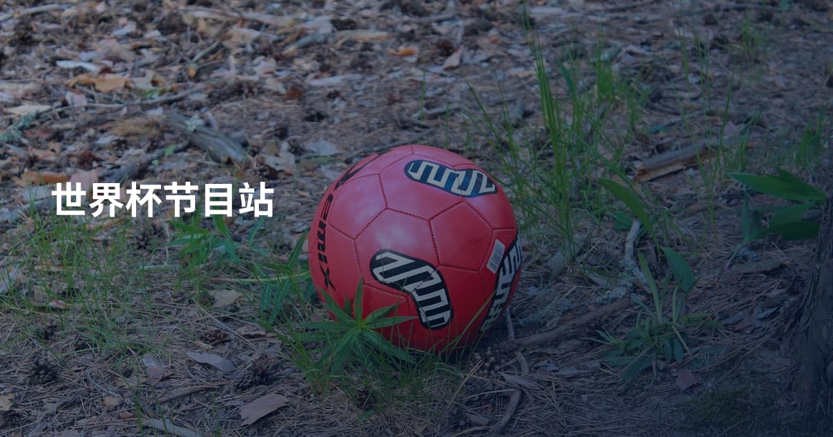 世界杯节目站