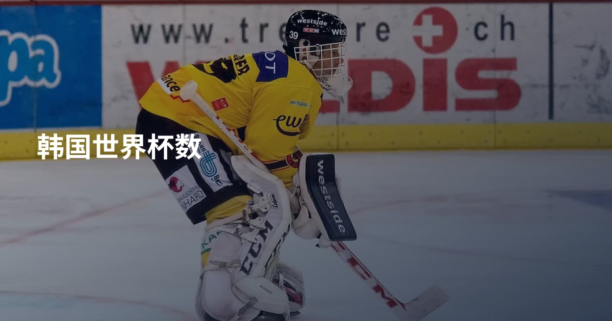 韩国世界杯数