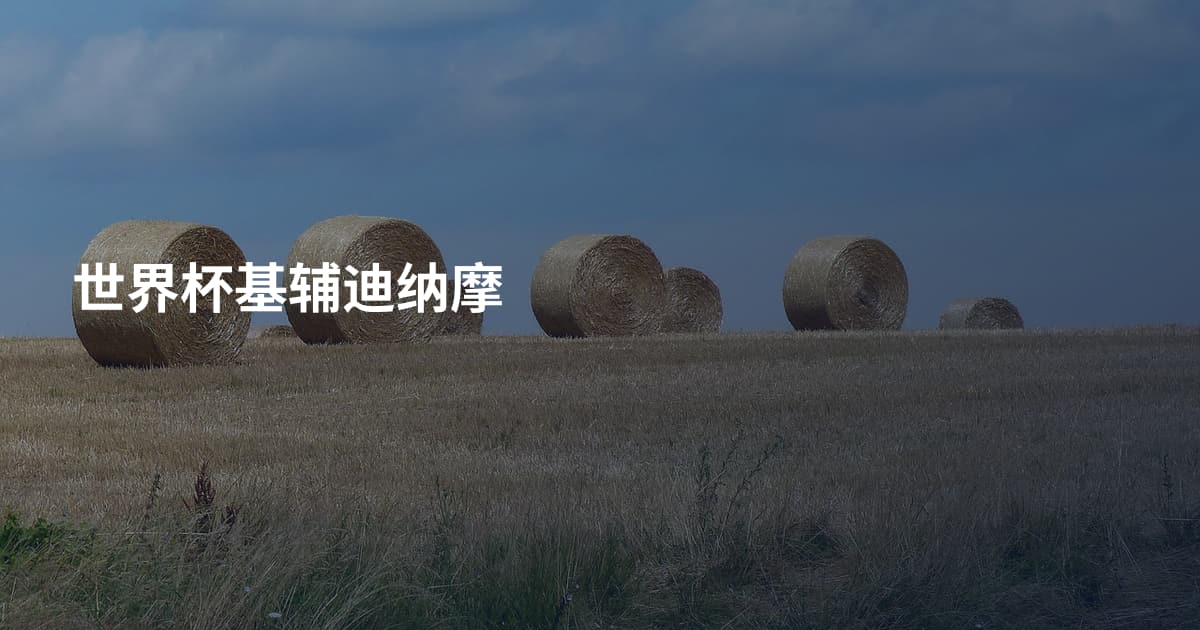 世界杯基辅迪纳摩