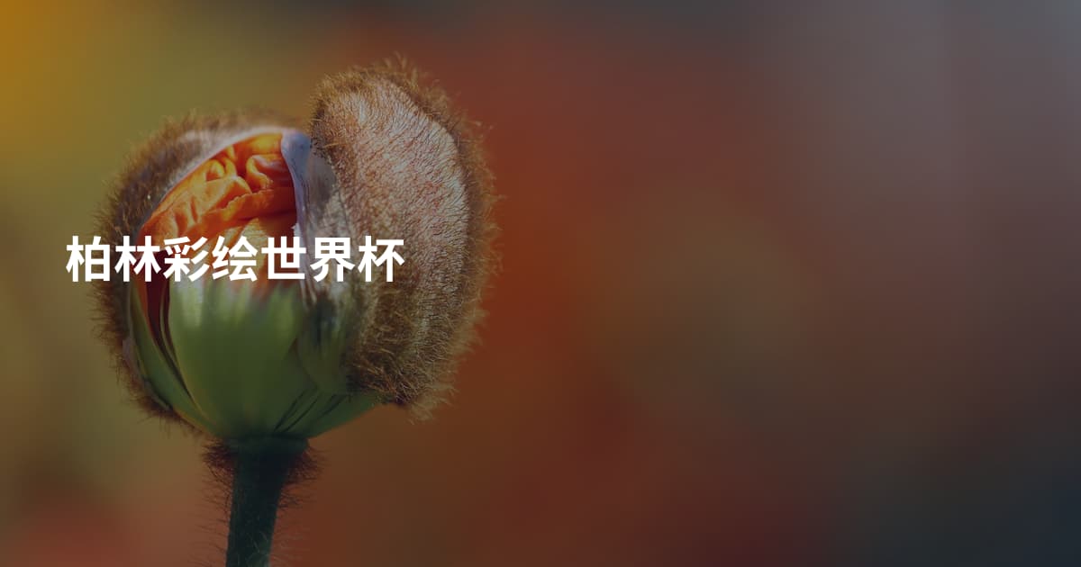 柏林彩绘世界杯