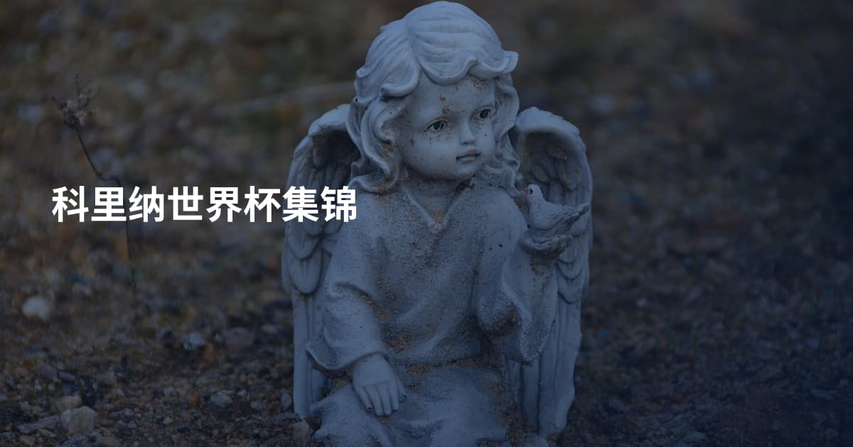 科里纳世界杯集锦