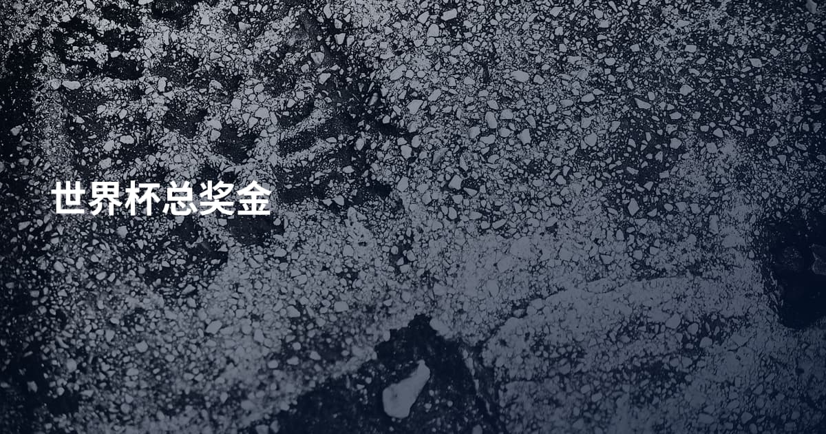 世界杯总奖金
