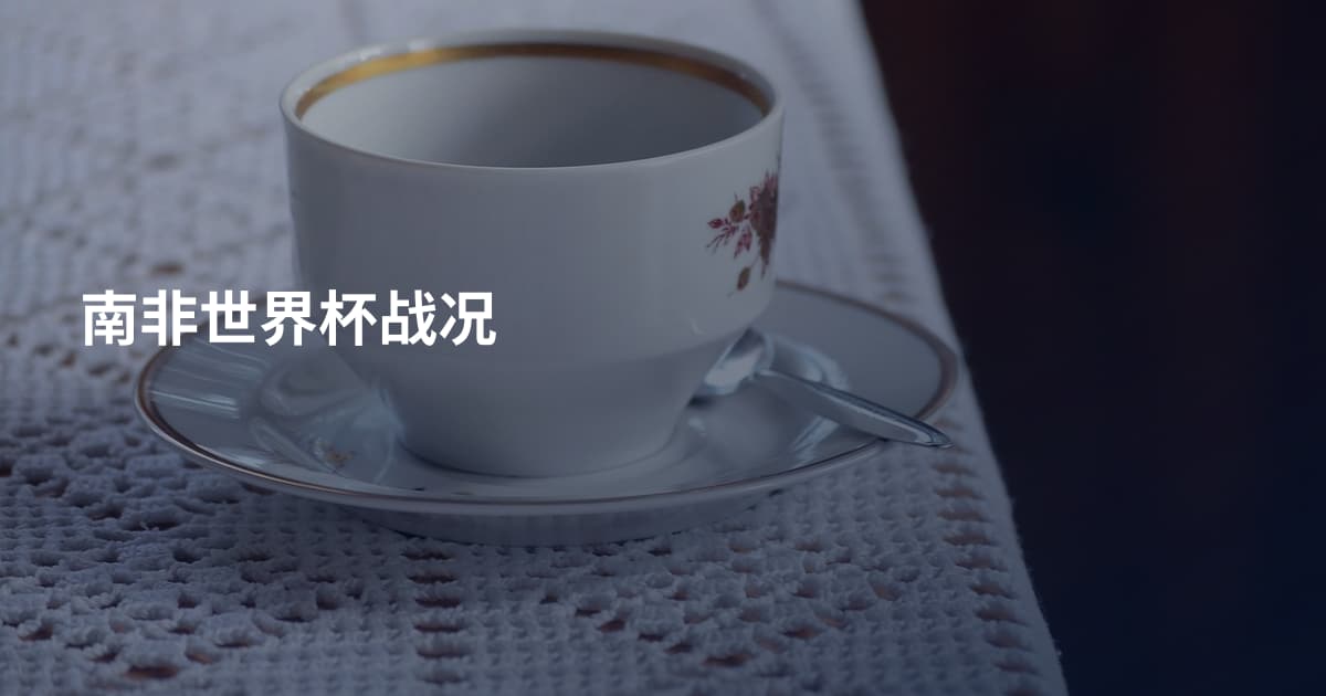 南非世界杯战况