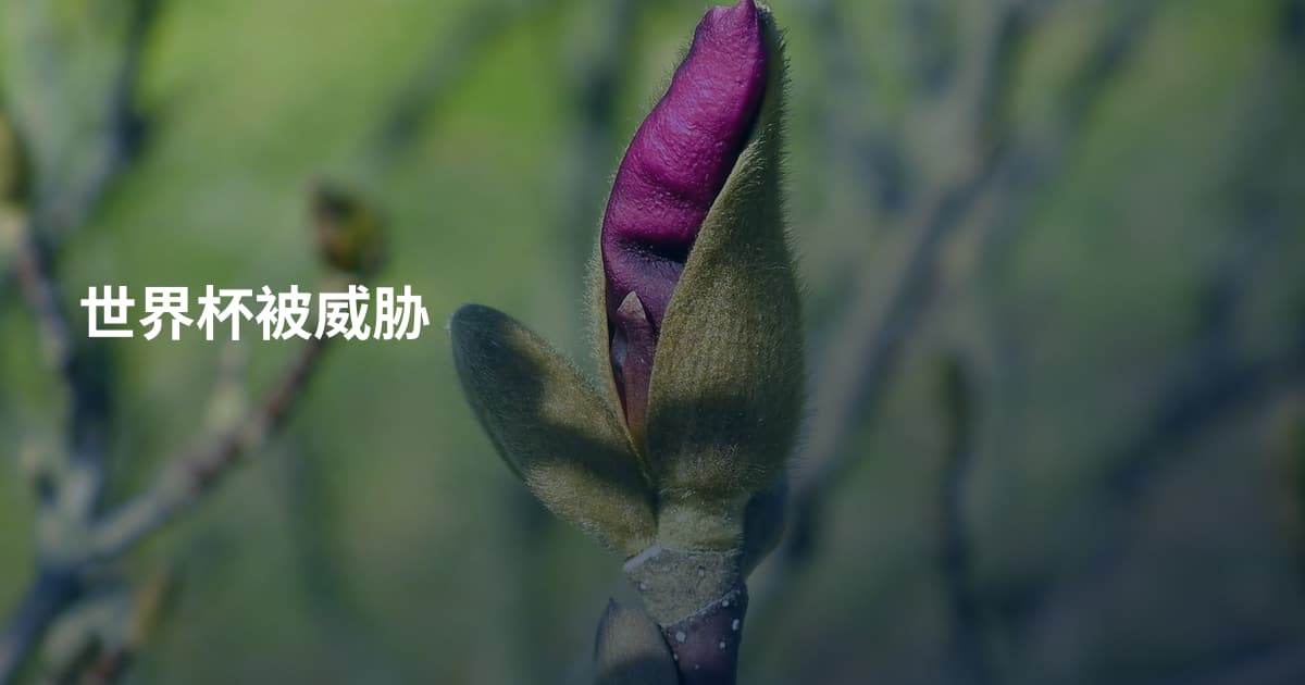 世界杯被威胁