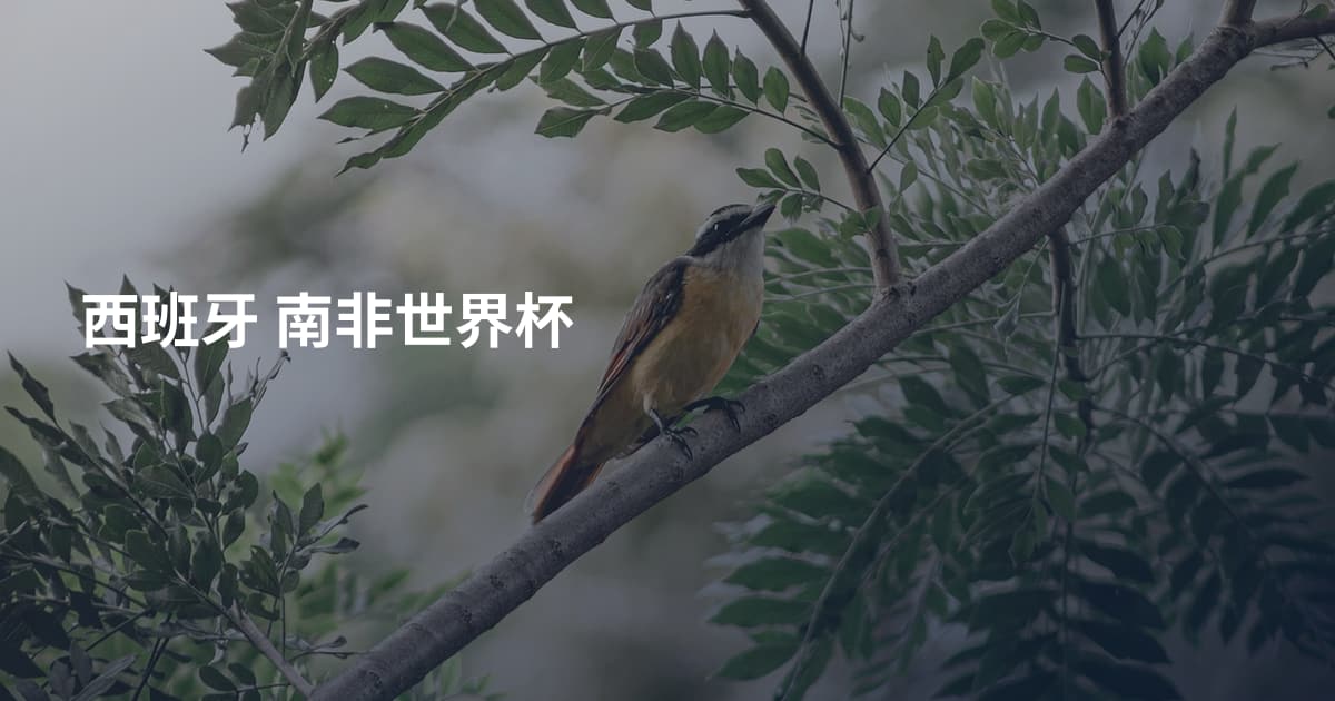 西班牙 南非世界杯