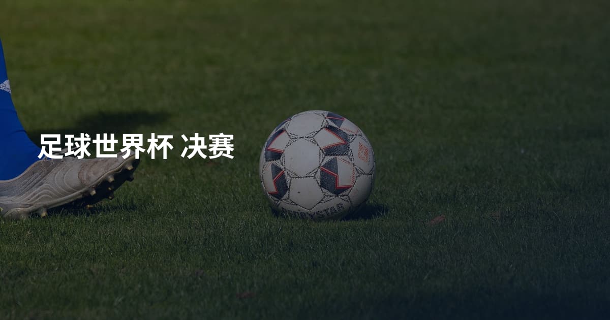 足球世界杯 决赛