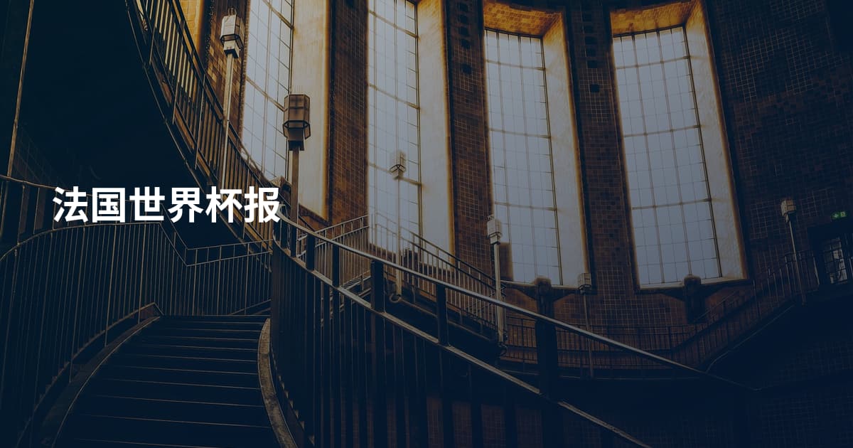 法国世界杯报