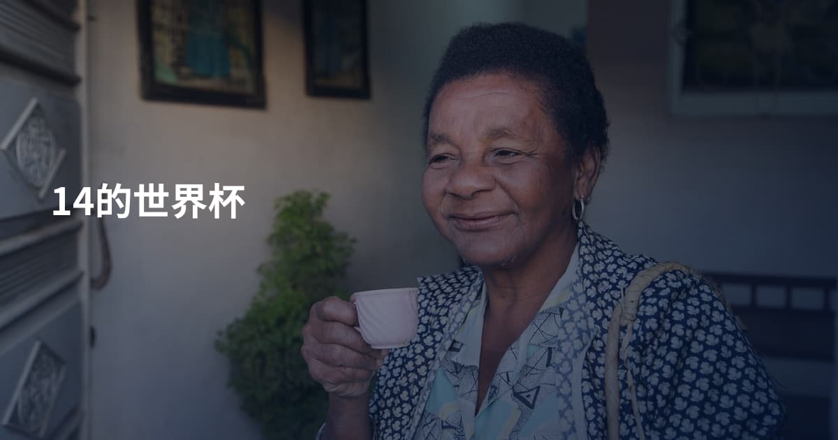 14的世界杯