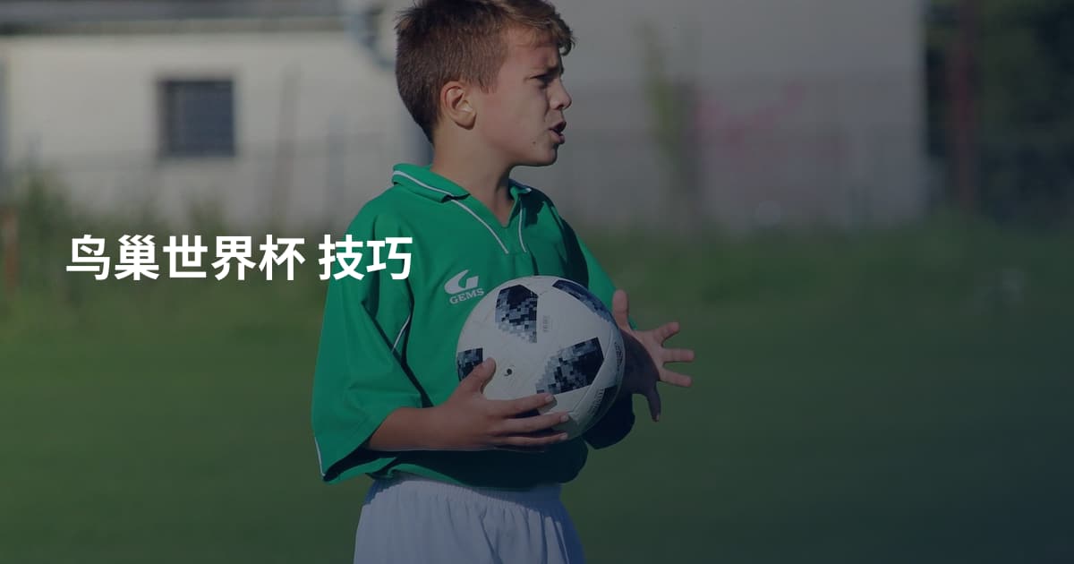 鸟巢世界杯 技巧