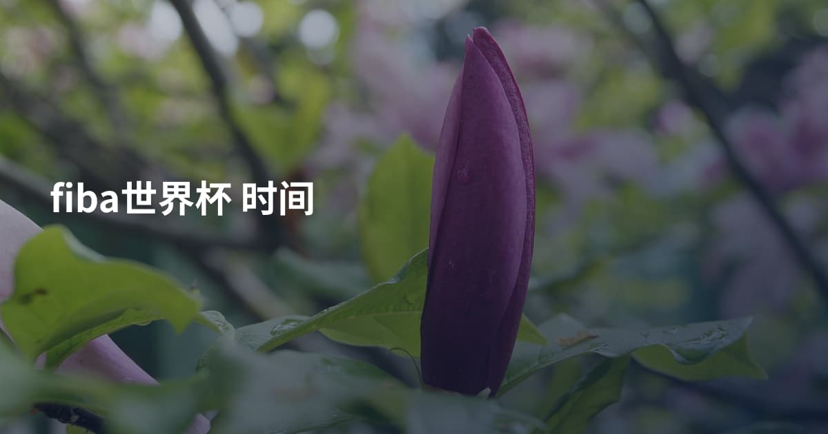 fiba世界杯 时间