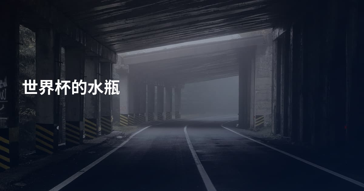 世界杯的水瓶