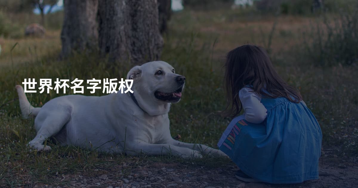 世界杯名字版权