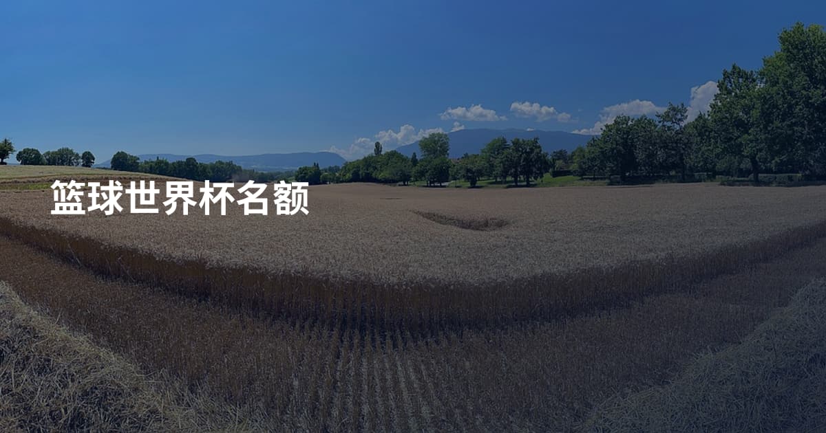 篮球世界杯名额